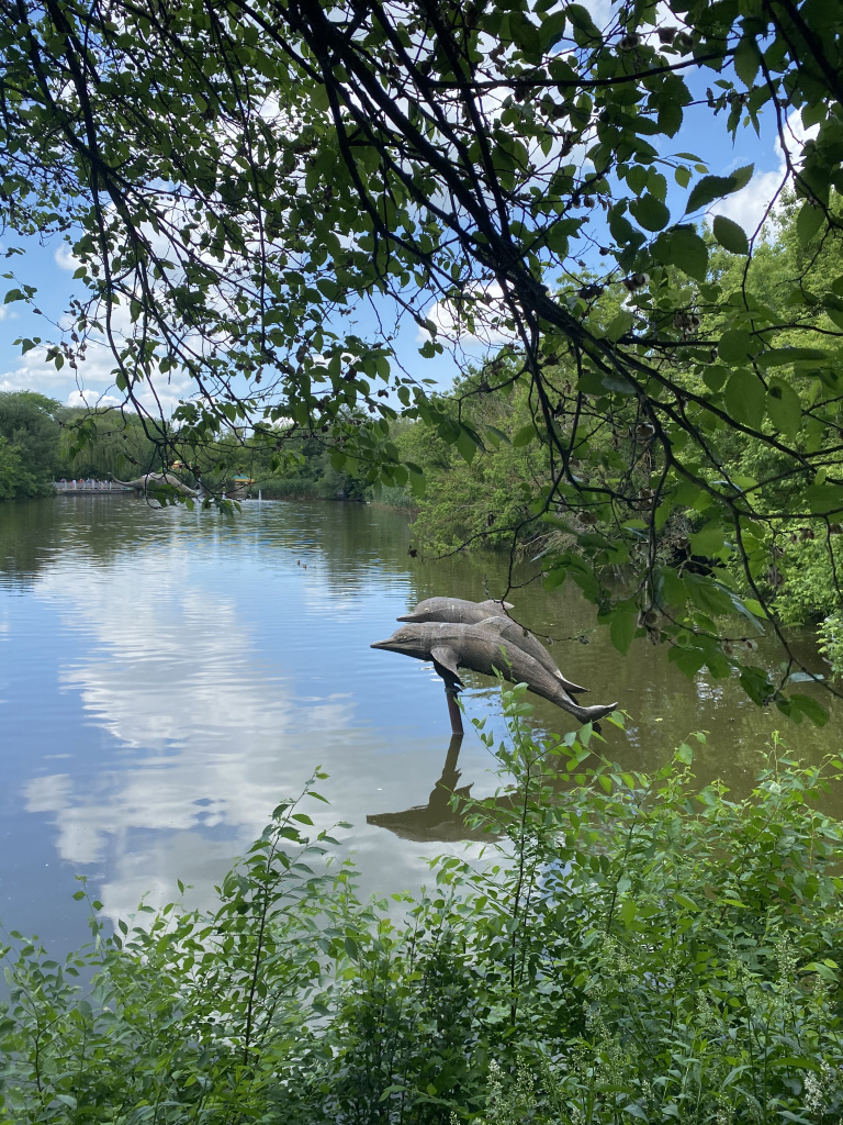 image-29-05-23-08-12.jpg